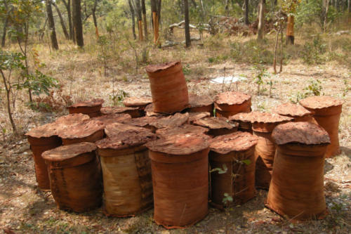 Bark hives (Tanzanie ©Sandra Haesler)