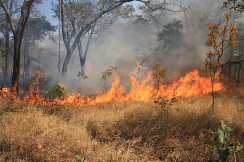 Bushfires (Tanzania ©Yves Hausser)