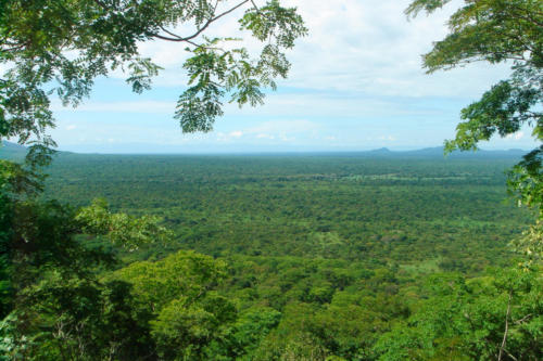 Miombo Landscape (Tanzania ©Yves Hausser)