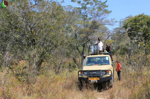 team visiting the Kululu Forest