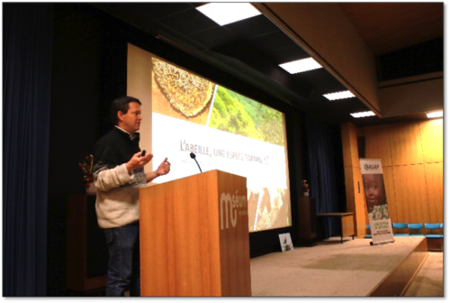 Conference the Bee makes its Buzz at the Museum of Natural History in Geneva. November 23, 2018.