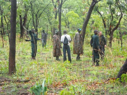 Village game scouts patrolling during rainy season