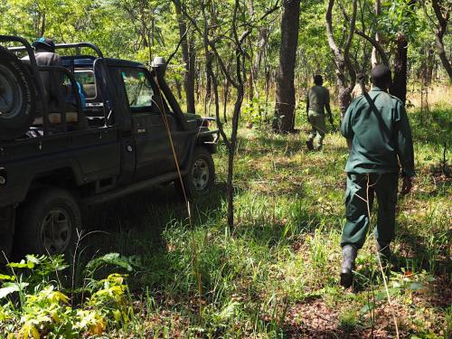 Village game scouts patrolling Mlele Beekeeping Zone