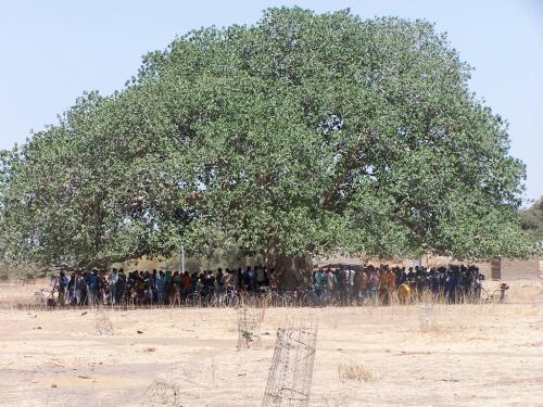 Projet Burkina (2004-2015)