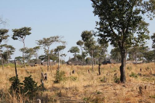 Habitations de Wasukuma qui bordent la réserve de Kululu